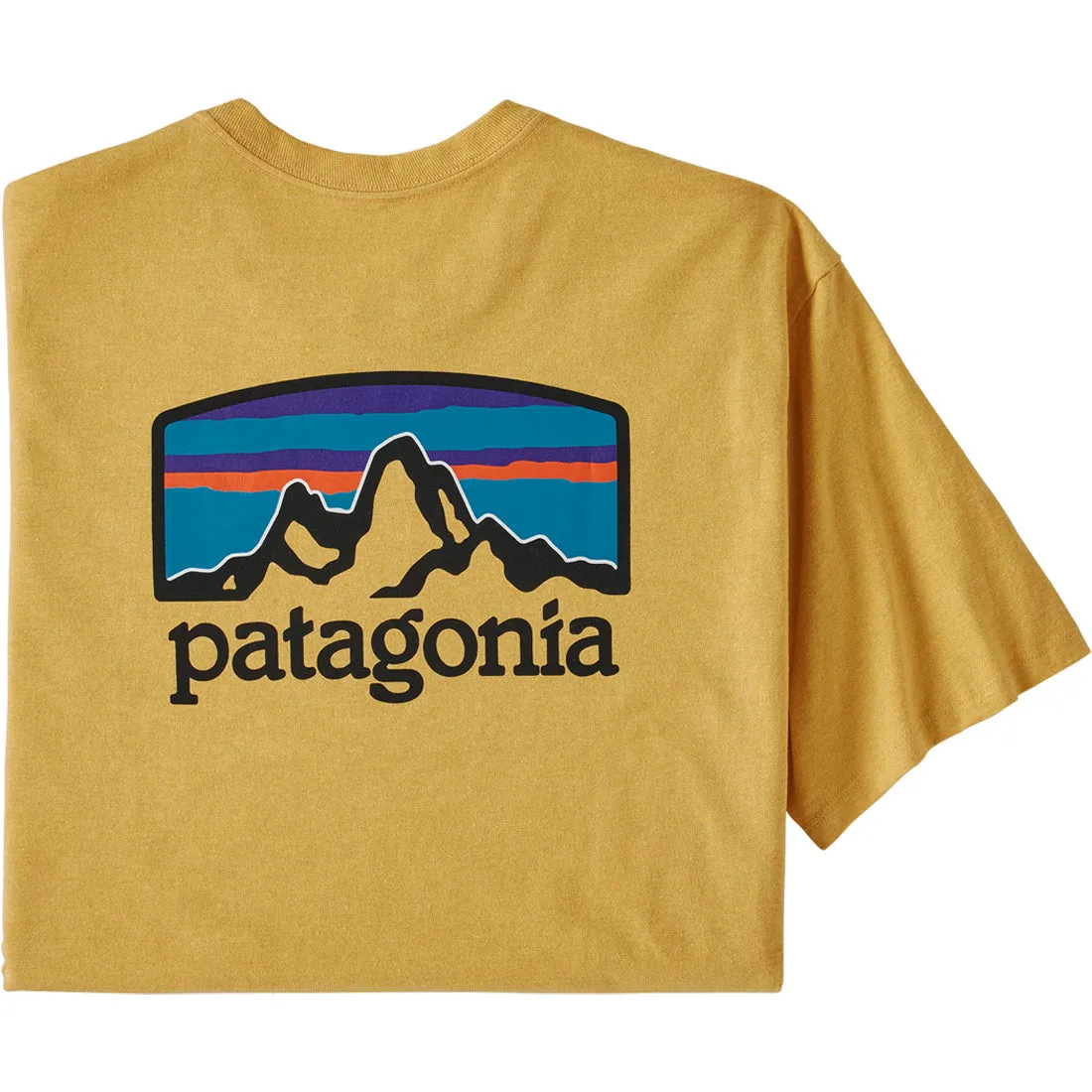 Patagonia Fitz Roy Horizons Responsibili-Tee - Men's