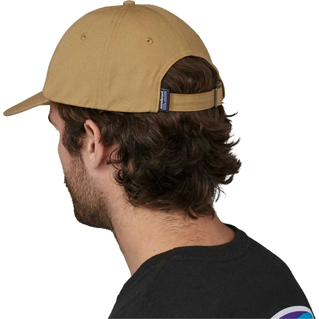 Patagonia Fitz Roy Icon Trad Cap