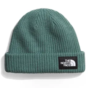 The North Face Men's Salty Lined Beanie